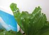 help you keep your plants healthy and alive