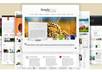 Wp_themes_presentation