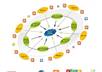 manually create a LINKWHEEL using 10 high pr blogs and blast them with 1000 seo forum backlinks to dominate search engines