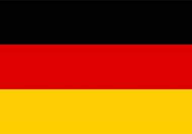 professionally translate any text from English or French into perfect German big1