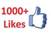 add 1000 Guaranteed facebook fans from USA to your facebook fan page, no admin access