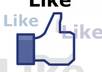 guide you how to increase facebook likes of website,blogs etc