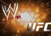 educate you about UFC or pro wrestling