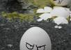 use my cynical personality about any subject, blog, etc small1