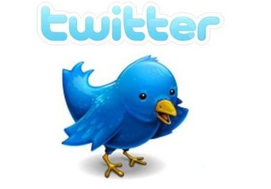 give you 15,000 Twitter IDs from the SEO, Web Design niche and 13900 Twitter IDs from the Business niche big1