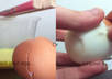 unpeel or uncrack an egg to reveal your message small1