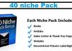 give You 40 Niche Pack, Each With Website, Articles, Books, Sales Letters And Master Resale Rights