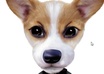 record your commercial, or personal, message on video, with Bone, my animated cartoon dog, small1