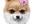 record your commercial, or personal, message on video, with Blanche, my animated cartoon dog,