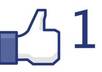 add 1500 facebook likes