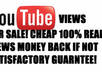 real youtube views 1000 human views no proxies or bots fast and legit
