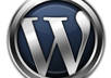 help you to create professional Wordpress website and solve your problems
