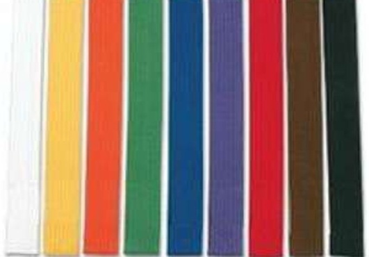 provide information that explains the belt ranking in martial arts big1