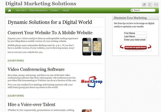 build a PROFESSIONAL 5 page Wordpress web site with your company logo, tagline and description big1