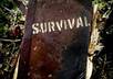 do a survival realted guest post on your blog