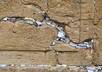 put a note in the Western Wall with your private message/prayer small1