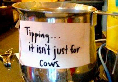 happily accept a TIP big1