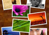 Slideshow