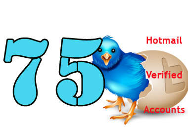 send you 75 quality professional twitter accounts verified with hotmail big1