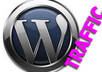 Wp-traffic