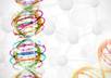 send you a powerful energy to connect you with  Divine DNA
