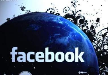 add 300 Facebook Fans on your Fan page big1