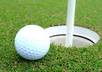 send you over 1300 high quality articles on Golfing