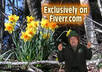 be your magical Leprechaun on video small1