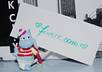 take pictures of my toys with your message