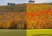 enhance any 2 of your digital photos small1
