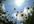 make you feel happy
