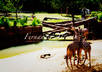 create 10 different effects from your original photo