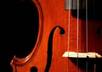 send you a video of me playing any requested song on the violin