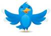 give you25 Rt and 25 Fb likes to any post