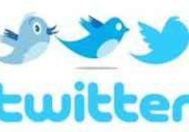 advertise your Fiverr gig or anything you want on my 33000 followers on Twitter big1