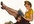 give you detailed feedback on up to 5,000 words