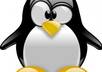 help with an Linux/Unix problem for a