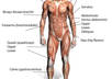 Exercise_front