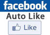 give you an Invisible Facebook Auto Like Script for your Website