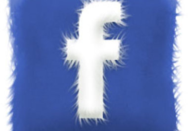 invite my 4000 facebook friend on your fan page big1
