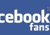 Fb likes