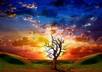 lift five of your needs up in prayer five times
