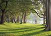 introduce beautiful nature trails in sri lanka