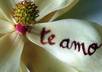 write anything for u on a real flower