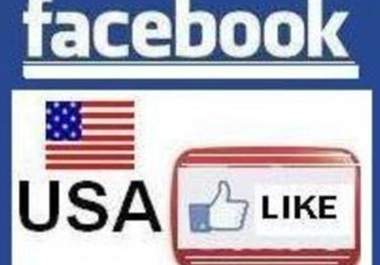 make 100 USA peoples to like your page in an express delivery of 24 hrs big1