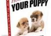 send you 1600+ Pets Plr articles small1