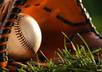 send you over 180 high quality articles on Baseball