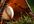 send you over 180 high quality articles on Baseball
