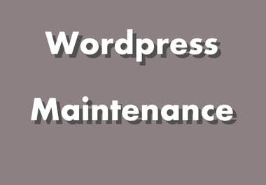 maintain 10 Wordpress sites big1