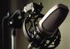 record a PRO voiceover for you small1